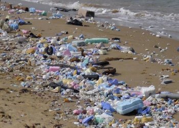 Sarıyer Belediyesi'nden moloz ve çöp atıkları için vurucu mesaj